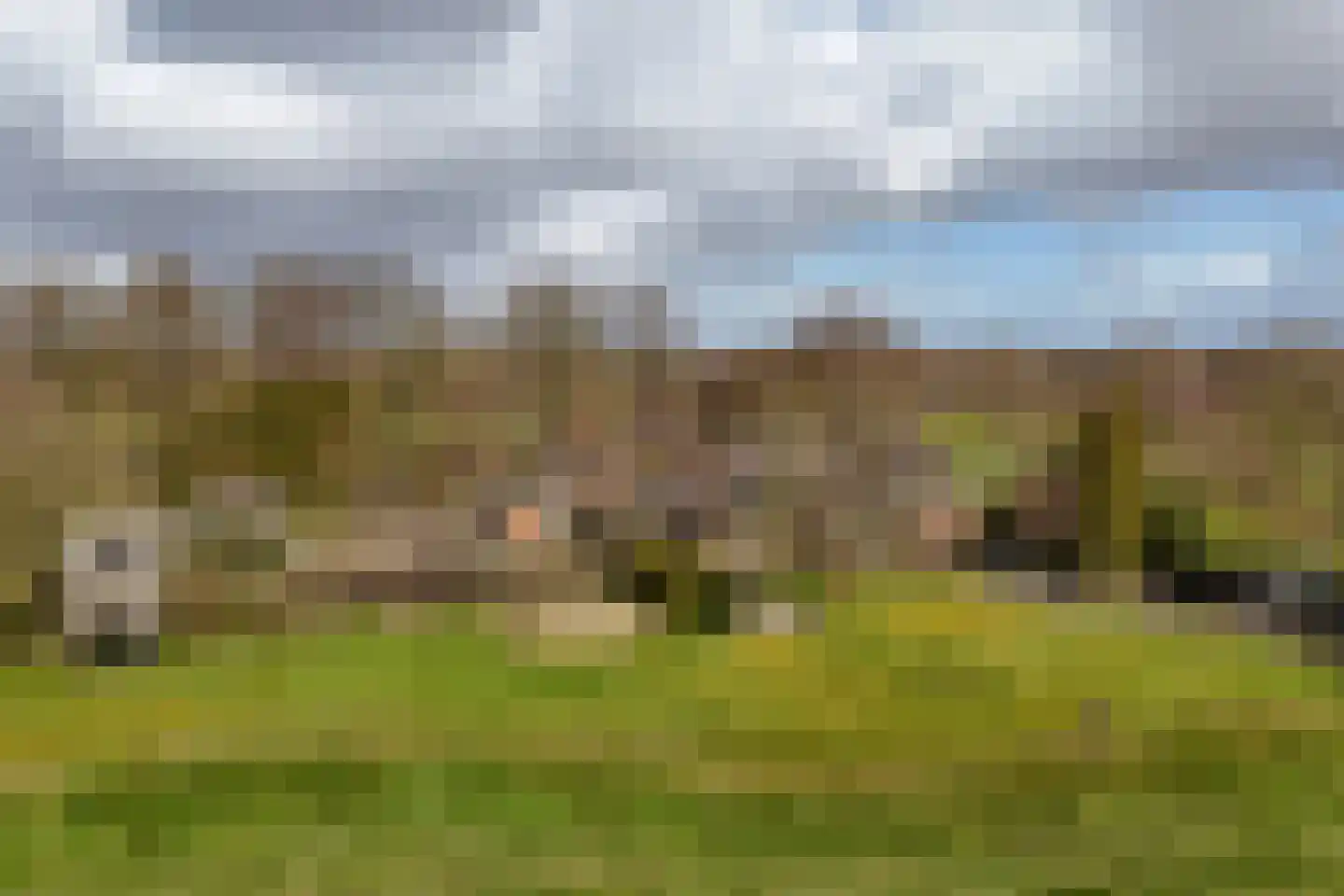 It Langfal 1 Surhuizum thumbnail 64