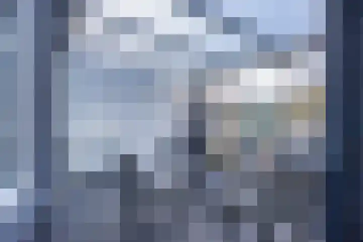 It Leech 12 Zurich thumbnail 17