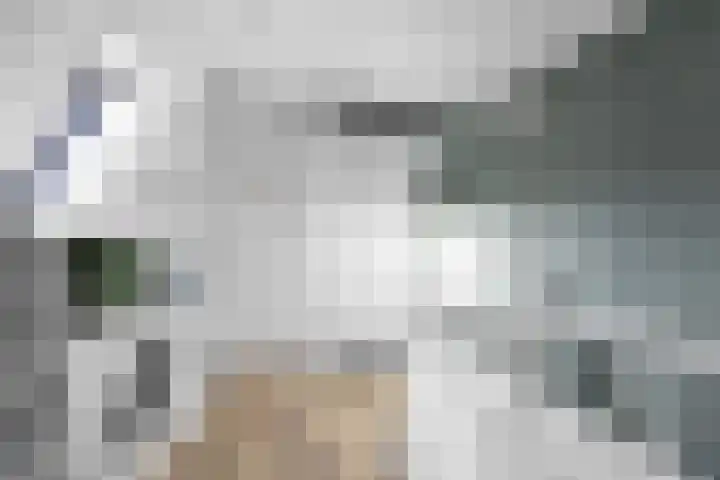 It Leech 12 Zurich thumbnail 20