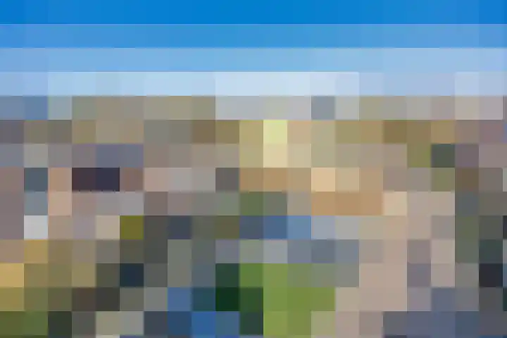 It Leech 12 Zurich thumbnail 29