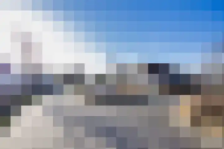 It Leech 12 Zurich thumbnail 32
