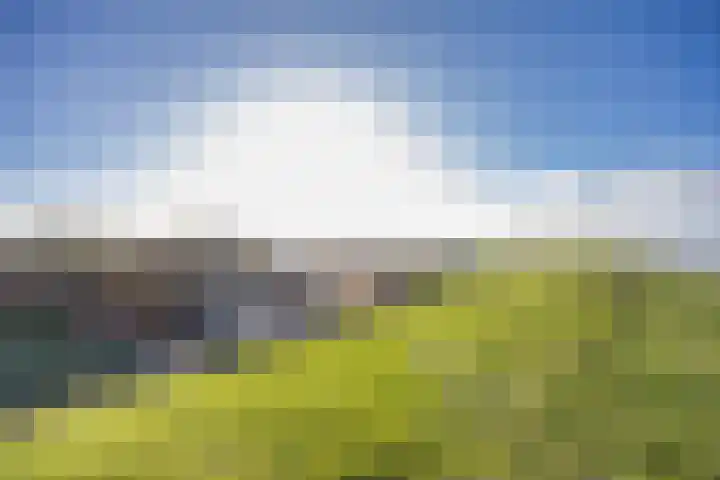 It Leech 12 Zurich thumbnail 35