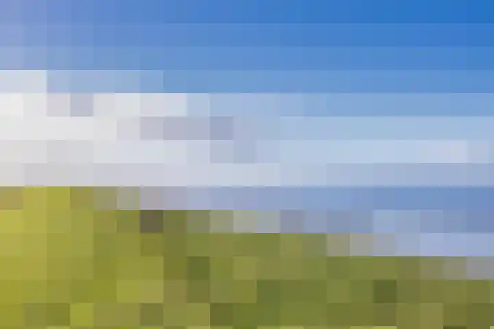 It Leech 12 Zurich thumbnail 4