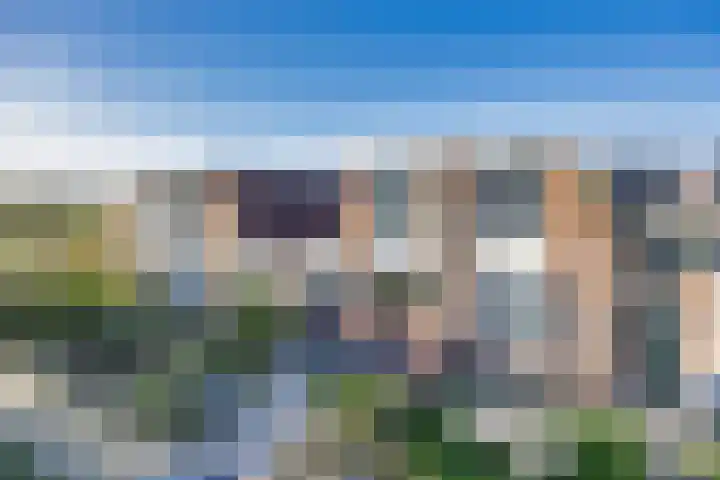 It Leech 12 Zurich thumbnail 5