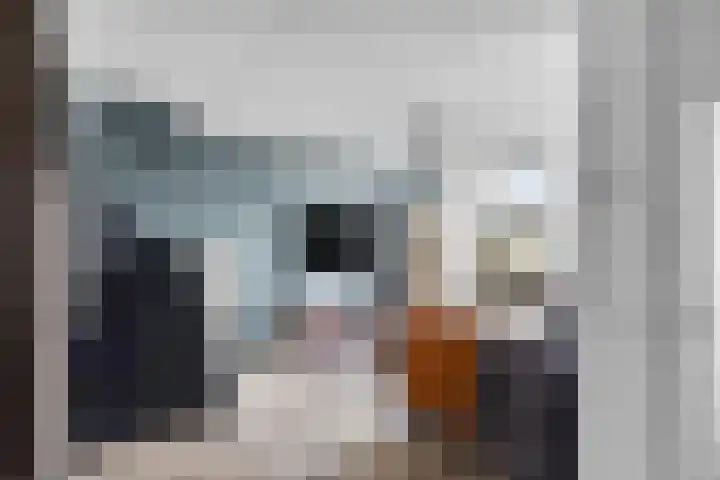 It Leech 12 Zurich thumbnail 8