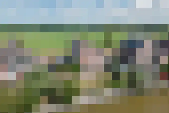 It Mêd 17 Makkum thumbnail 18