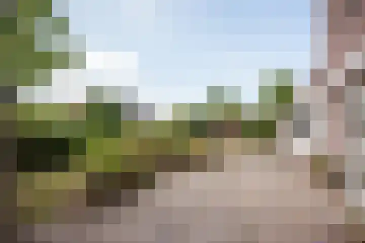 It Mêd 17 Makkum thumbnail 19