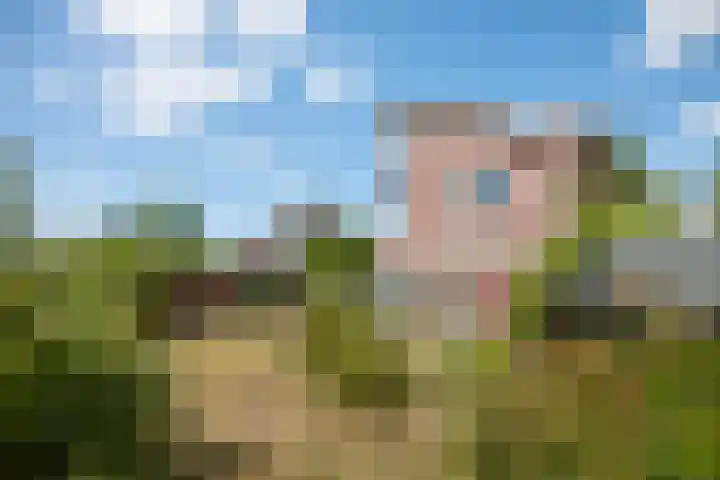 It Mêd 17 Makkum thumbnail 21