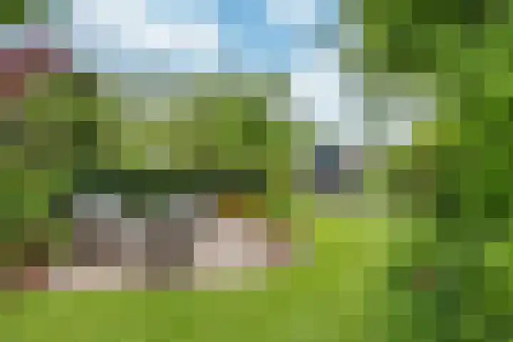 It Mediel 8 A Goënga thumbnail 29
