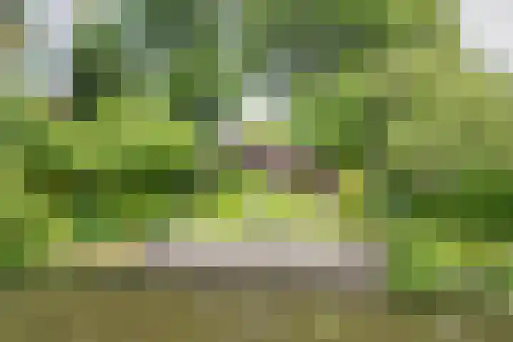 It Mediel 8 A Goënga thumbnail 32