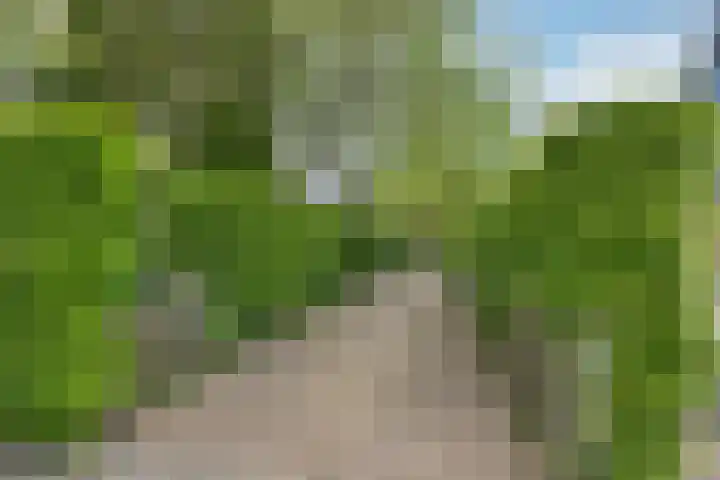 It Mediel 8 A Goënga thumbnail 42