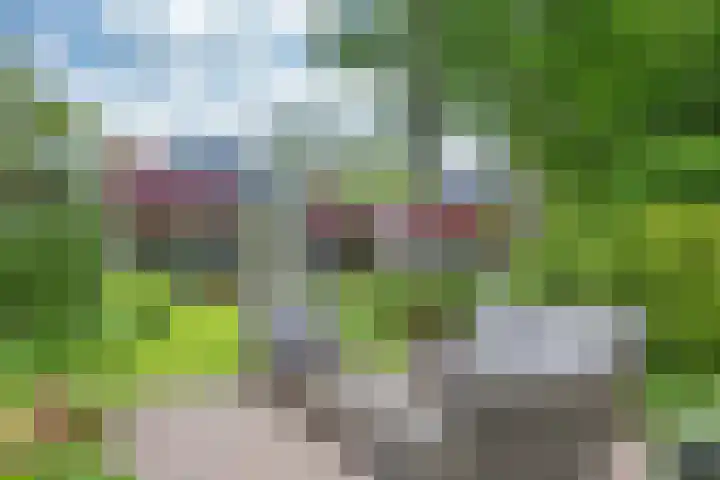 It Mediel 8 A Goënga thumbnail 5