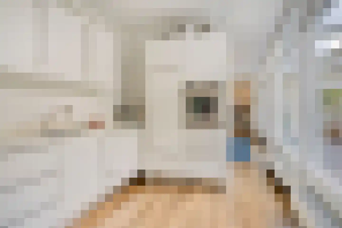 It Merkelân 20 Beetsterzwaag thumbnail 22