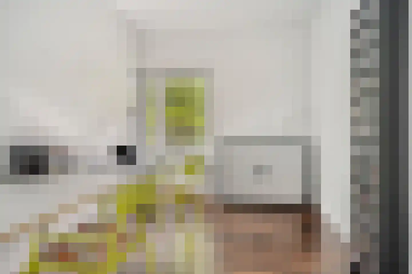 It Merkelân 20 Beetsterzwaag thumbnail 32