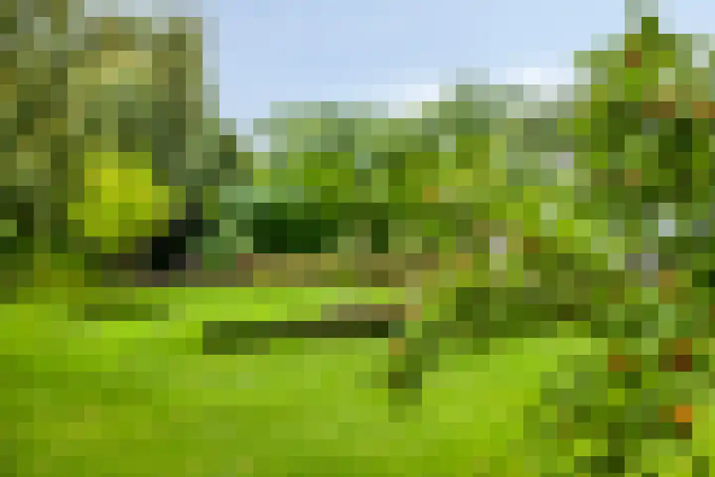 It Merkelân 20 Beetsterzwaag thumbnail 38