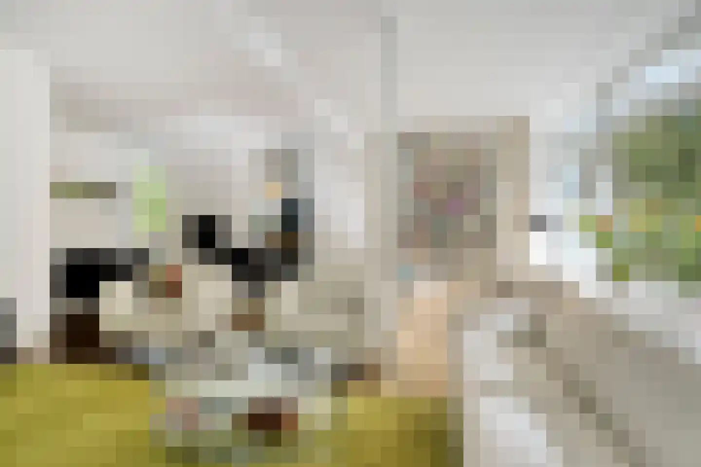 It Merkelân 20 Beetsterzwaag thumbnail 4