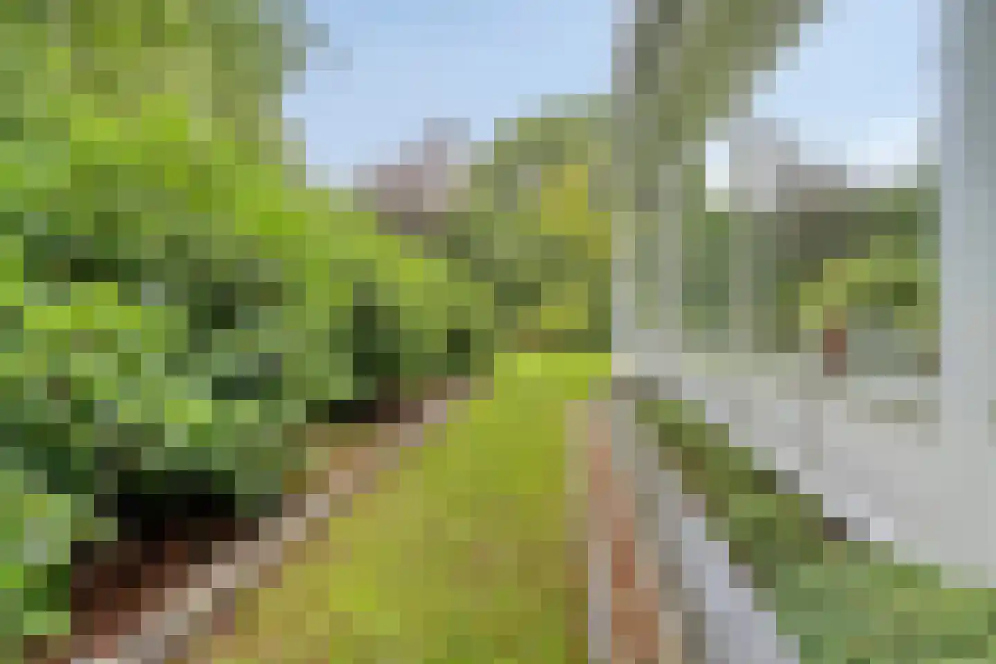 It Merkelân 20 Beetsterzwaag thumbnail 40