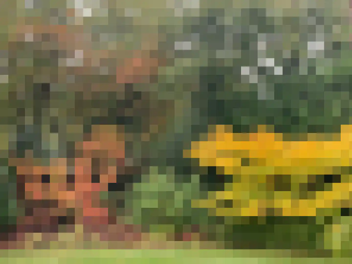 It Merkelân 20 Beetsterzwaag thumbnail 45