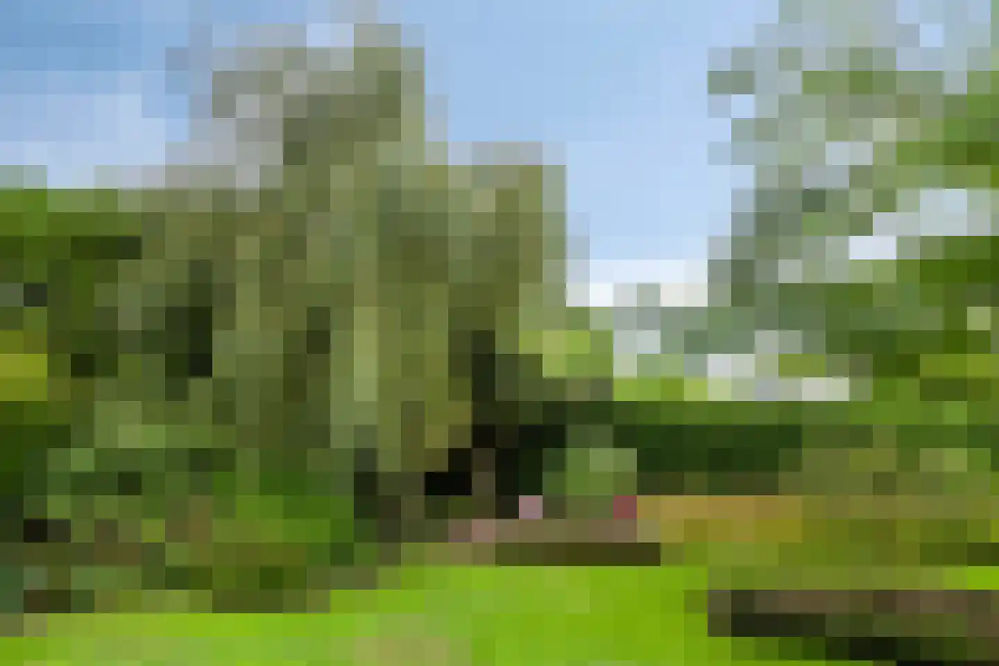 It Merkelân 20 Beetsterzwaag thumbnail 47