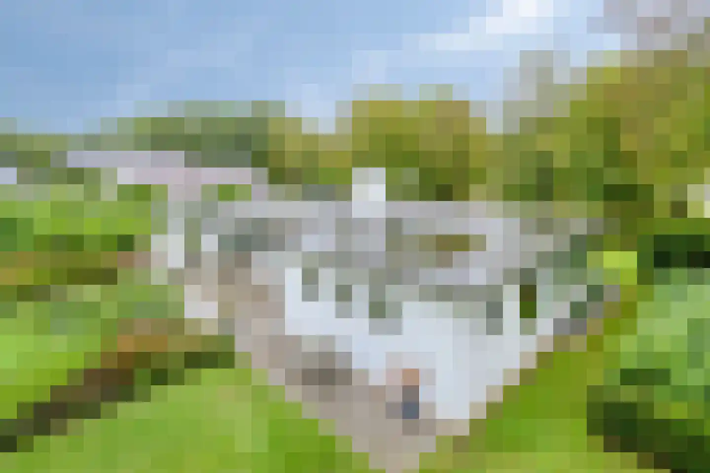 It Merkelân 20 Beetsterzwaag thumbnail 48