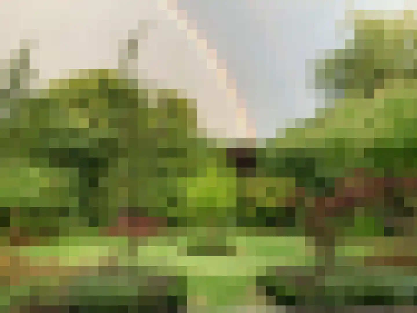 It Merkelân 20 Beetsterzwaag thumbnail 52