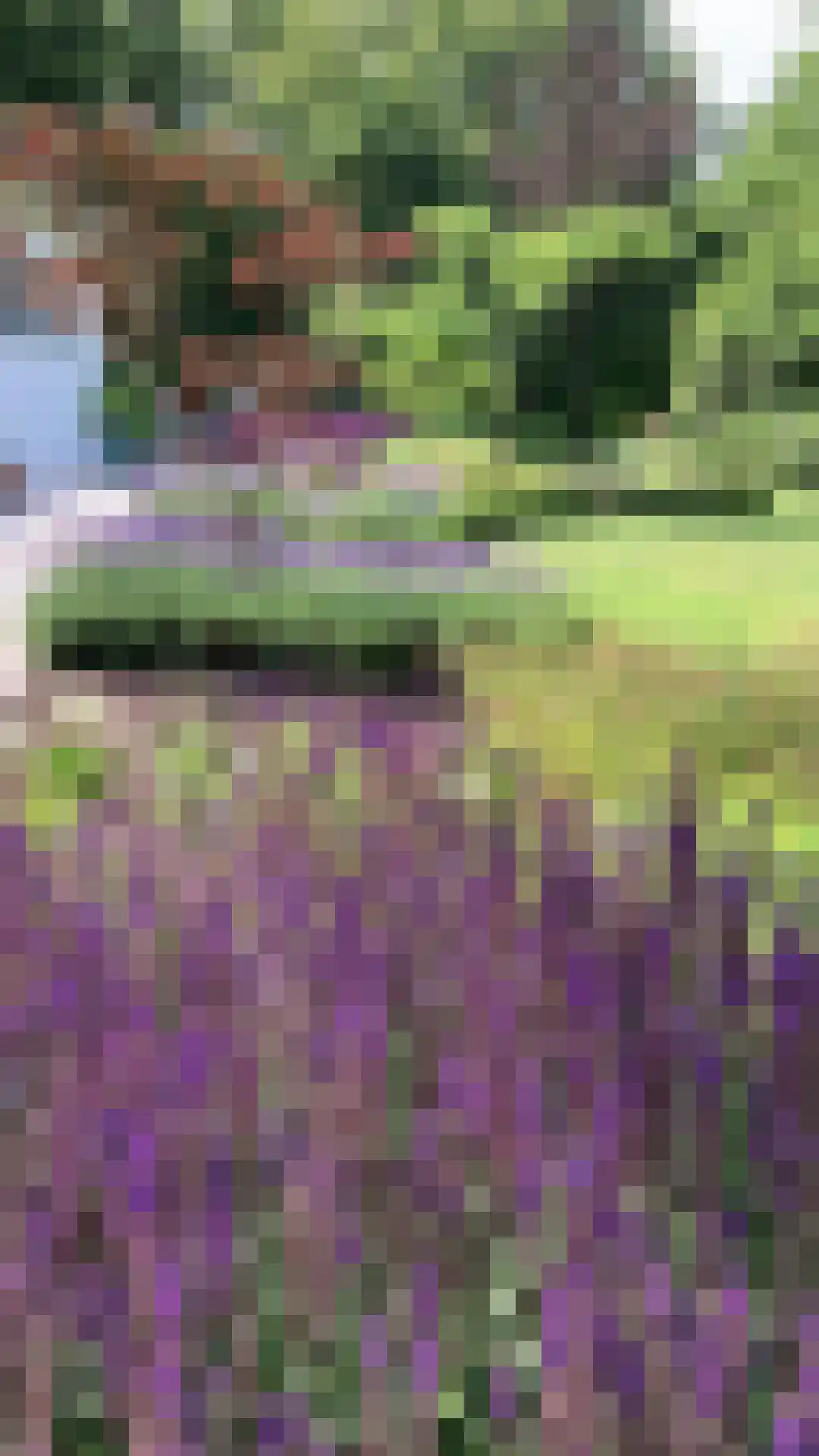 It Merkelân 20 Beetsterzwaag thumbnail 54
