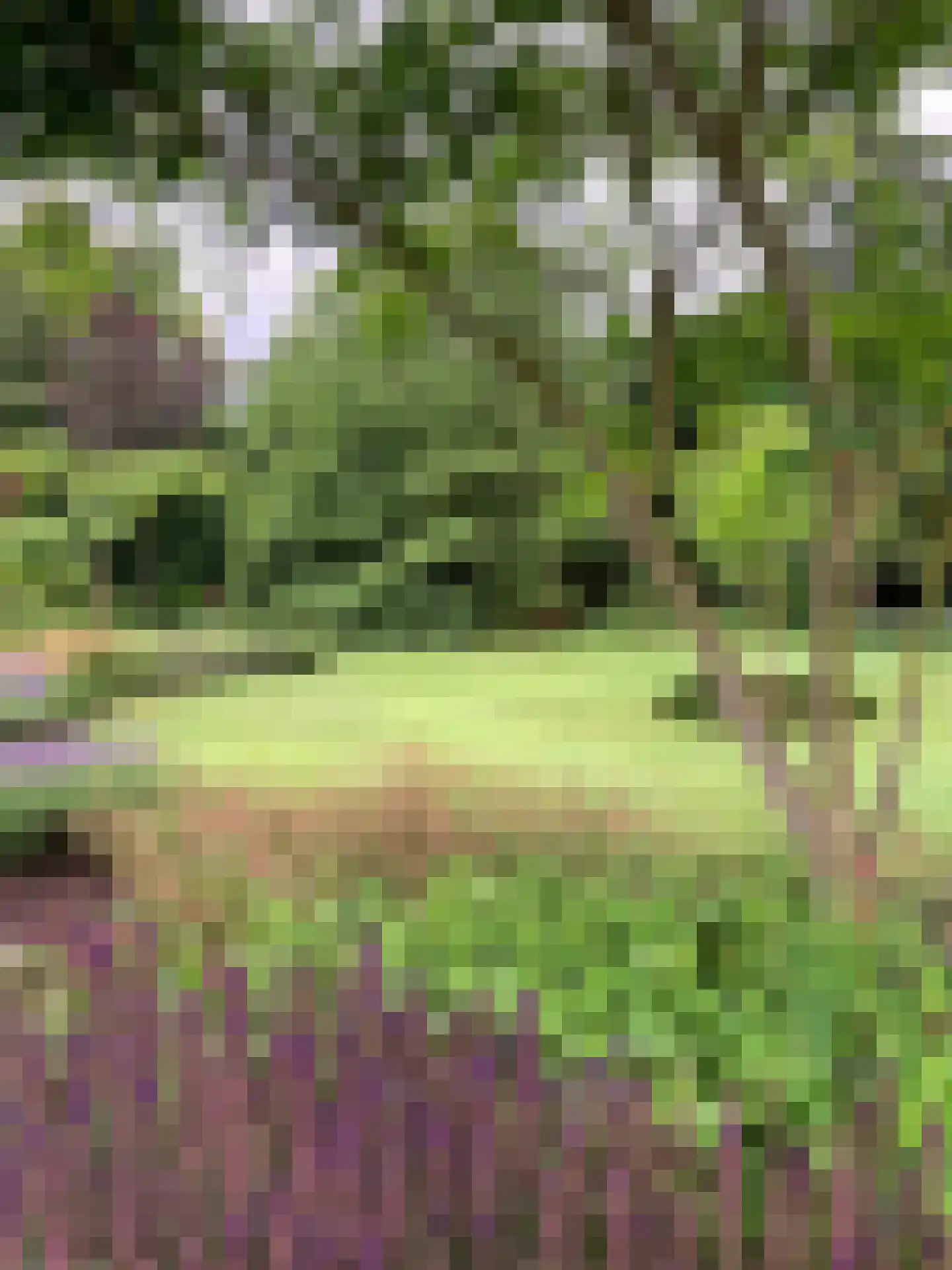 It Merkelân 20 Beetsterzwaag thumbnail 55