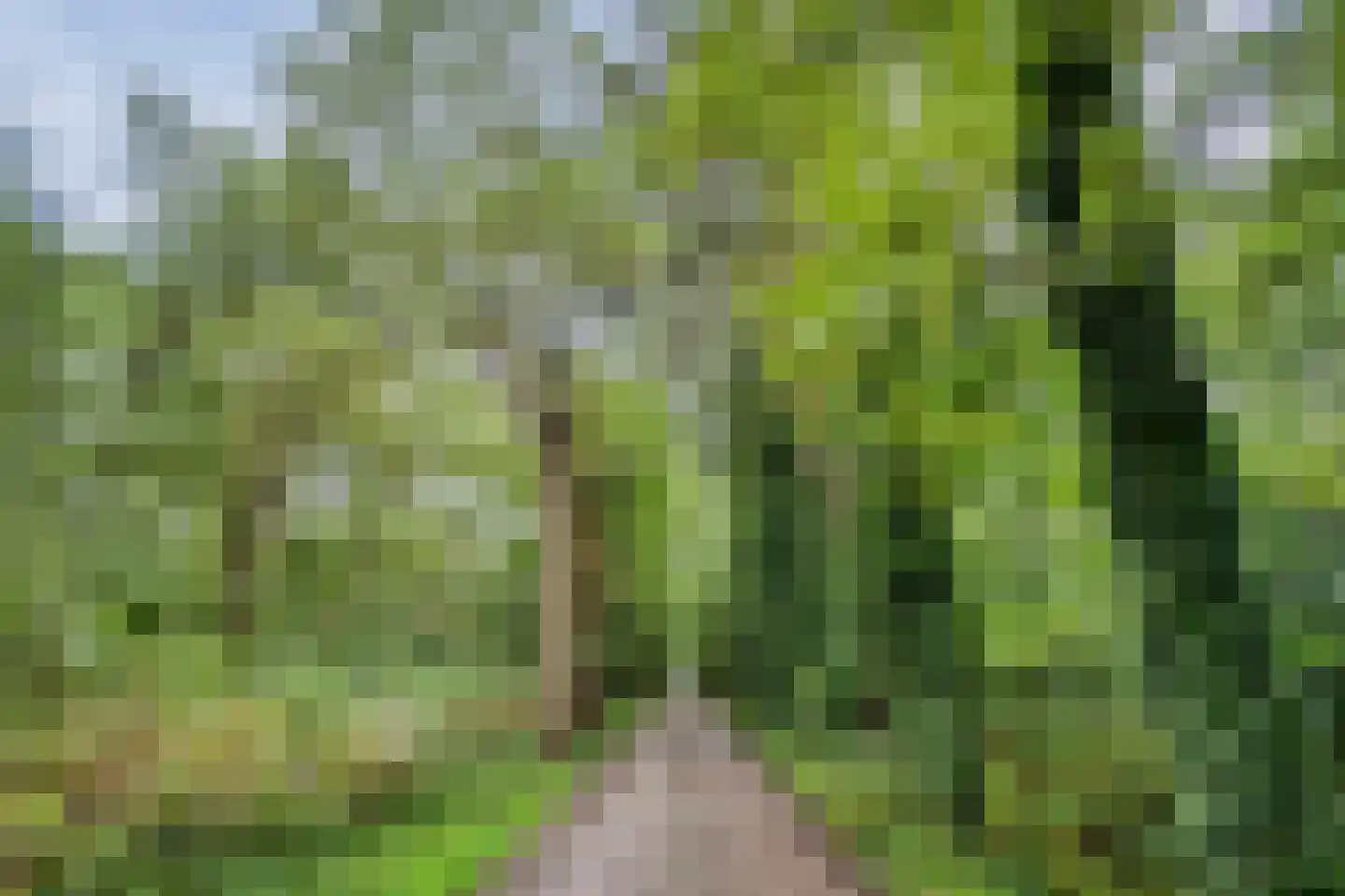 It Merkelân 20 Beetsterzwaag thumbnail 57