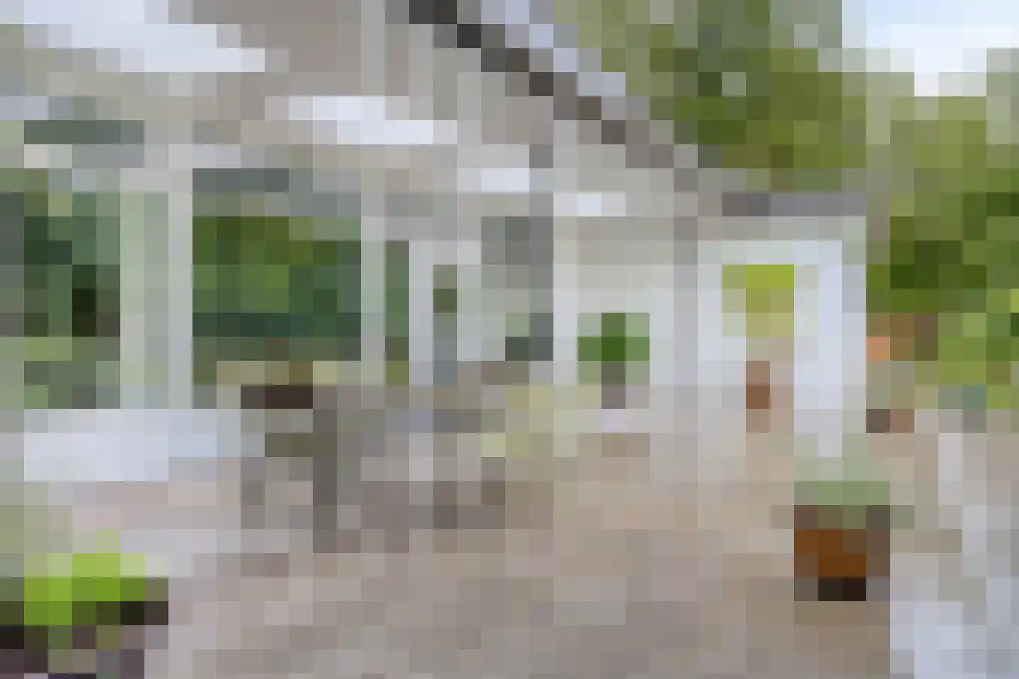 It Merkelân 20 Beetsterzwaag thumbnail 7