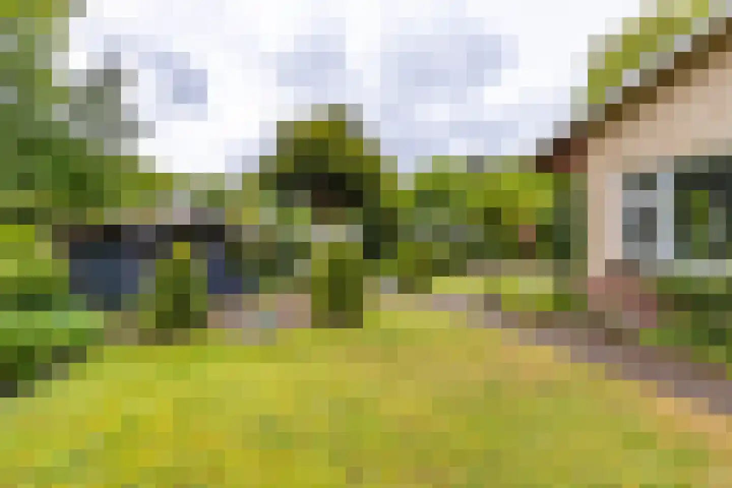 It Merkelân 33 Beetsterzwaag thumbnail 11