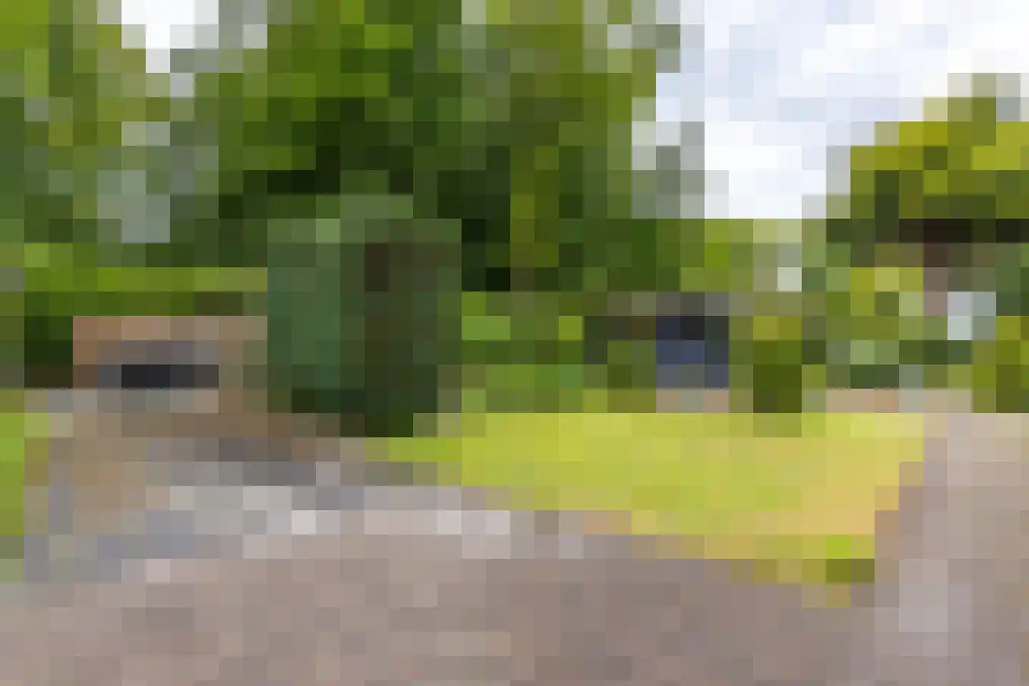 It Merkelân 33 Beetsterzwaag thumbnail 12