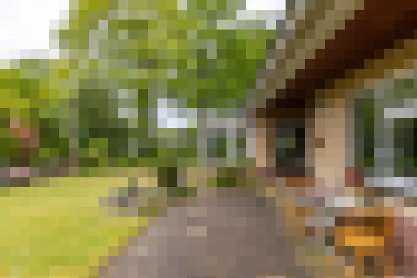 It Merkelân 33 Beetsterzwaag thumbnail 14