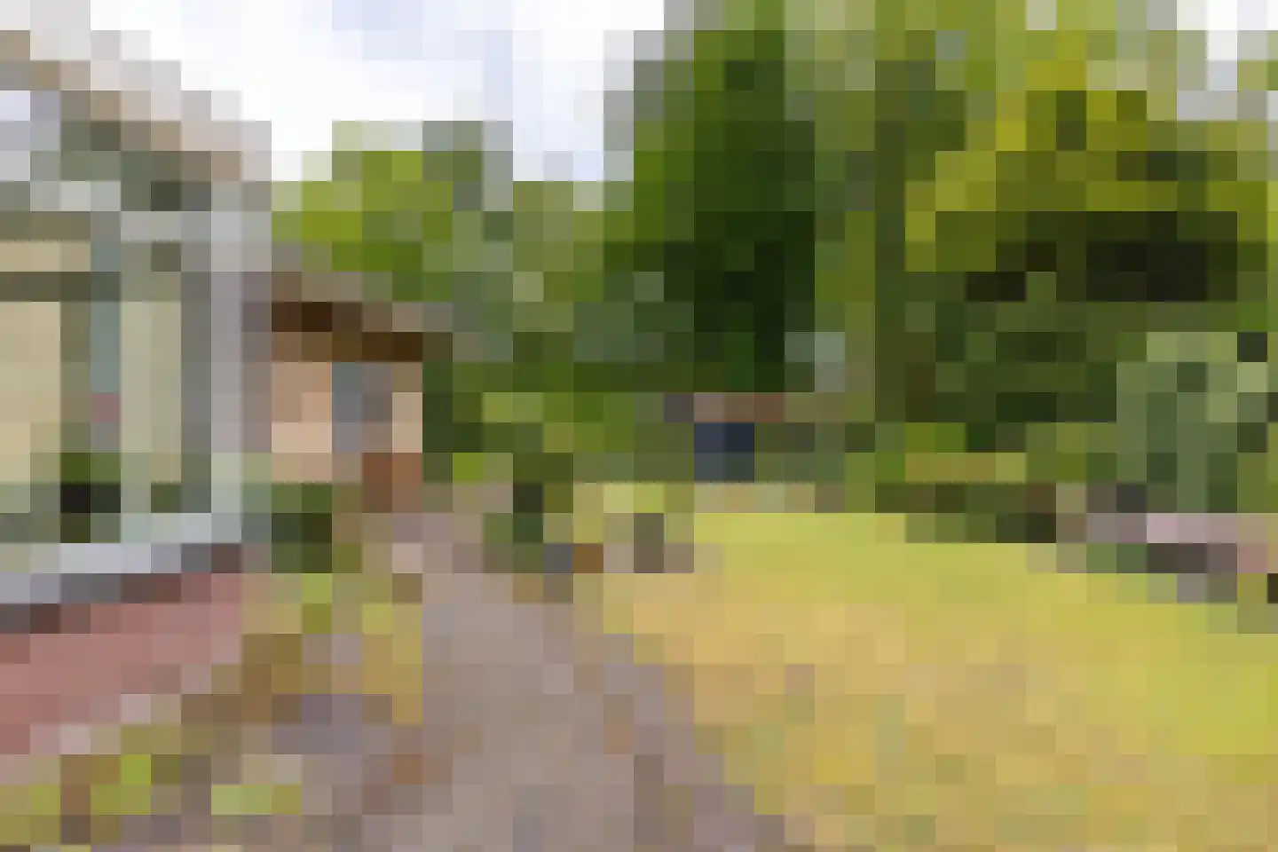 It Merkelân 33 Beetsterzwaag thumbnail 17