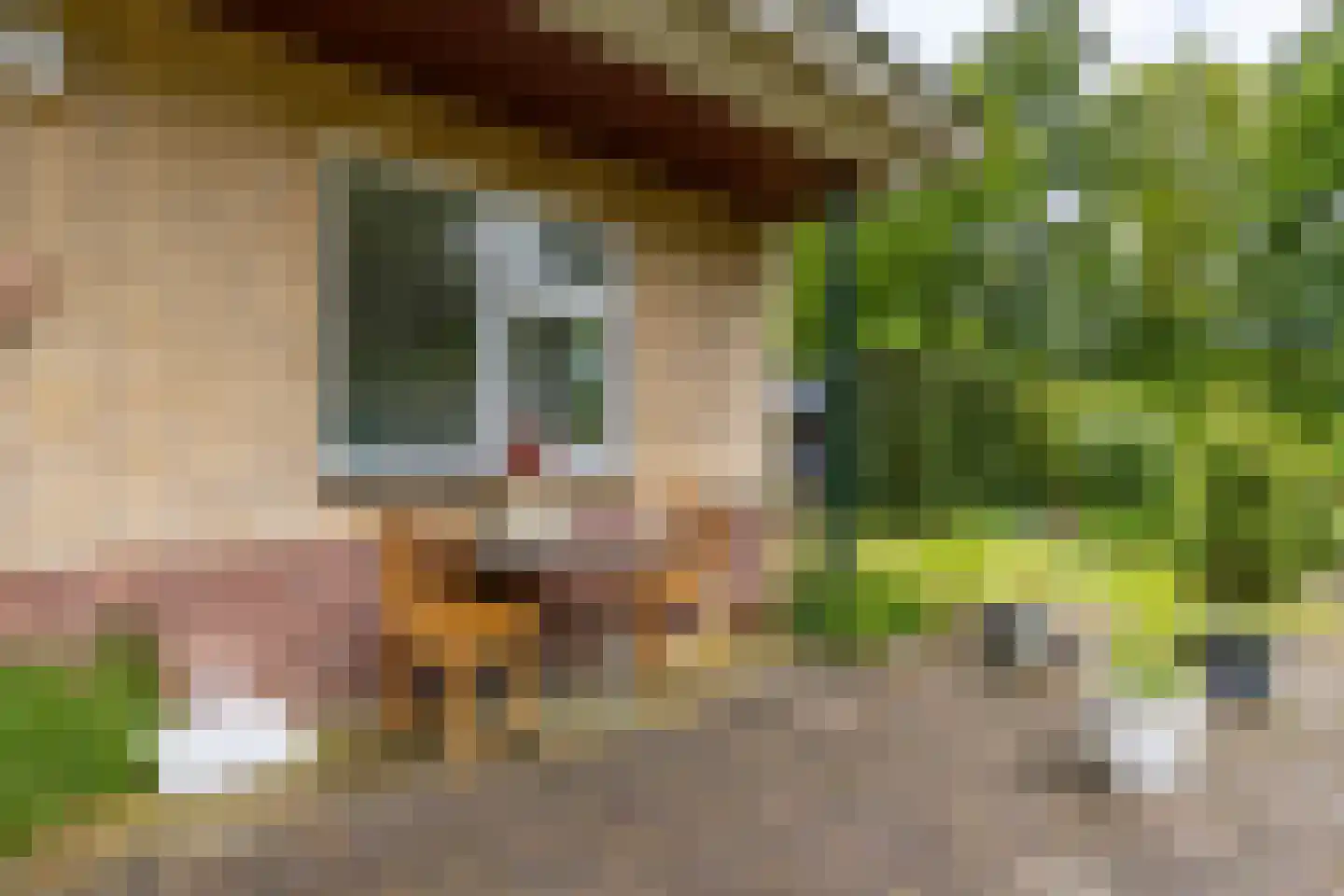 It Merkelân 33 Beetsterzwaag thumbnail 18
