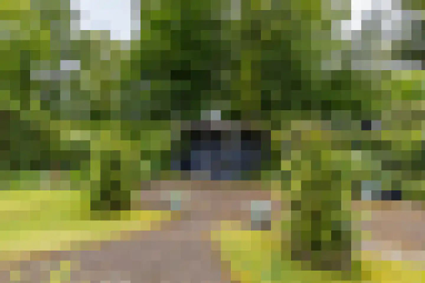 It Merkelân 33 Beetsterzwaag thumbnail 19