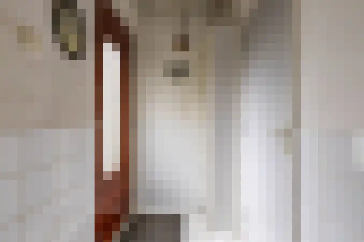 It Merkelân 33 Beetsterzwaag thumbnail 20
