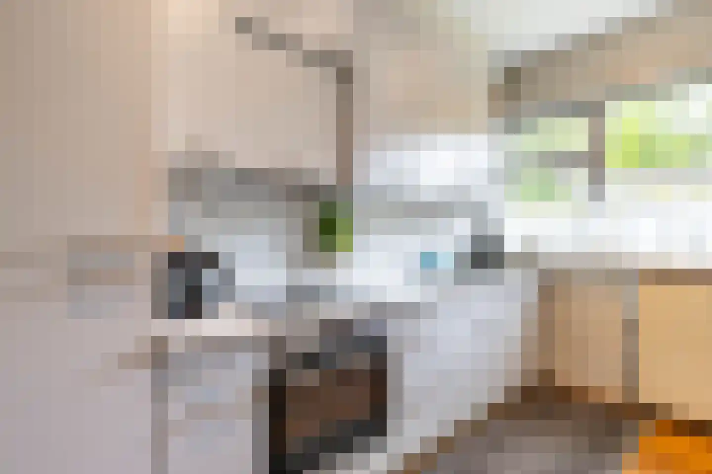 It Merkelân 33 Beetsterzwaag thumbnail 25