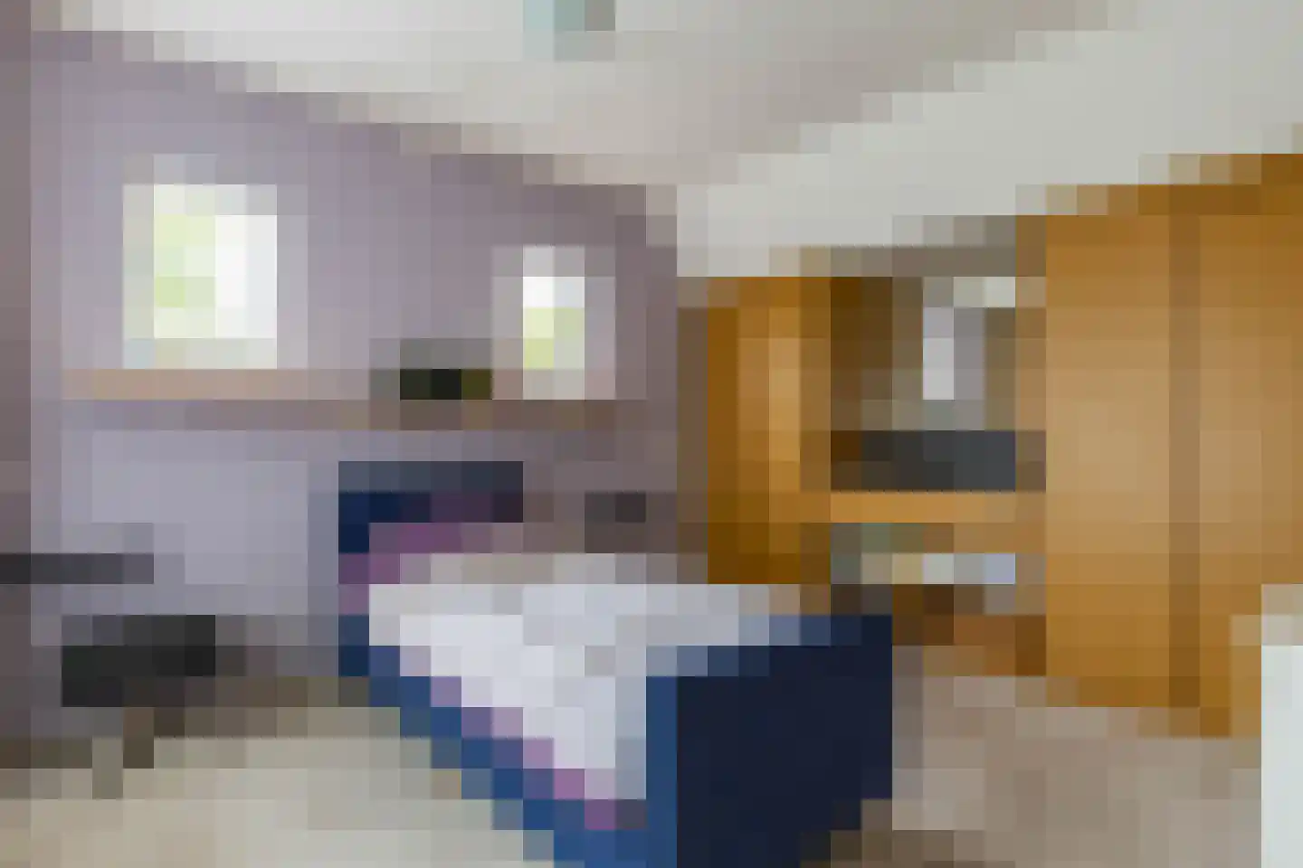 It Merkelân 33 Beetsterzwaag thumbnail 30