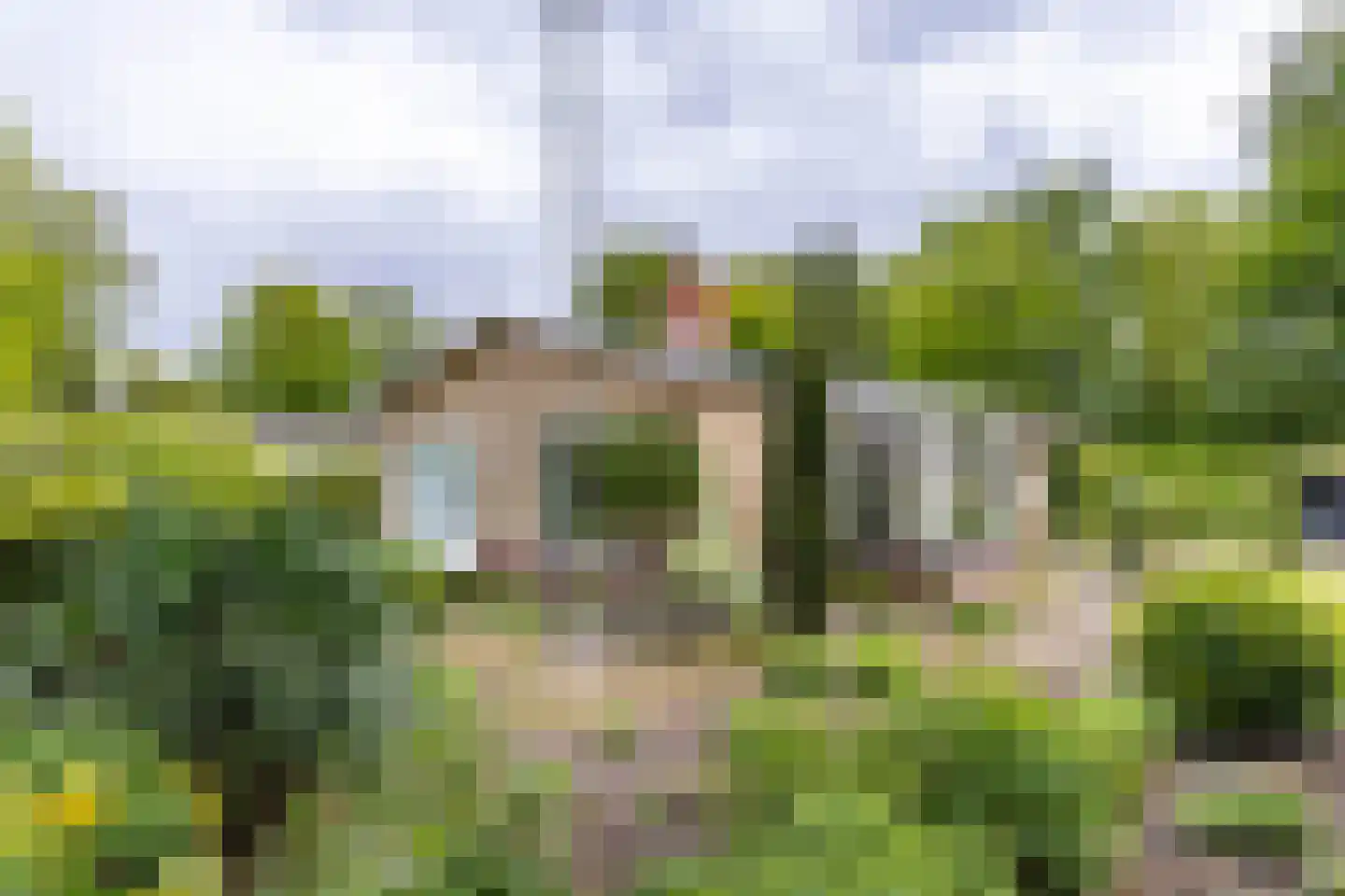 It Merkelân 33 Beetsterzwaag thumbnail 4