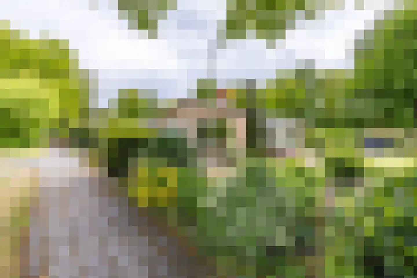 It Merkelân 33 Beetsterzwaag thumbnail 5