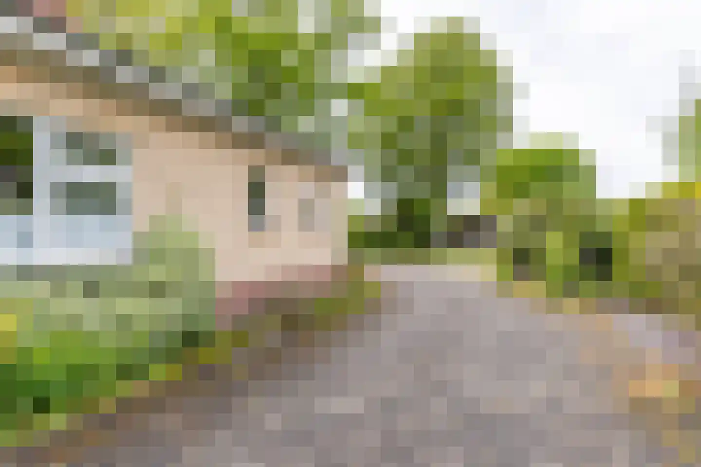 It Merkelân 33 Beetsterzwaag thumbnail 7
