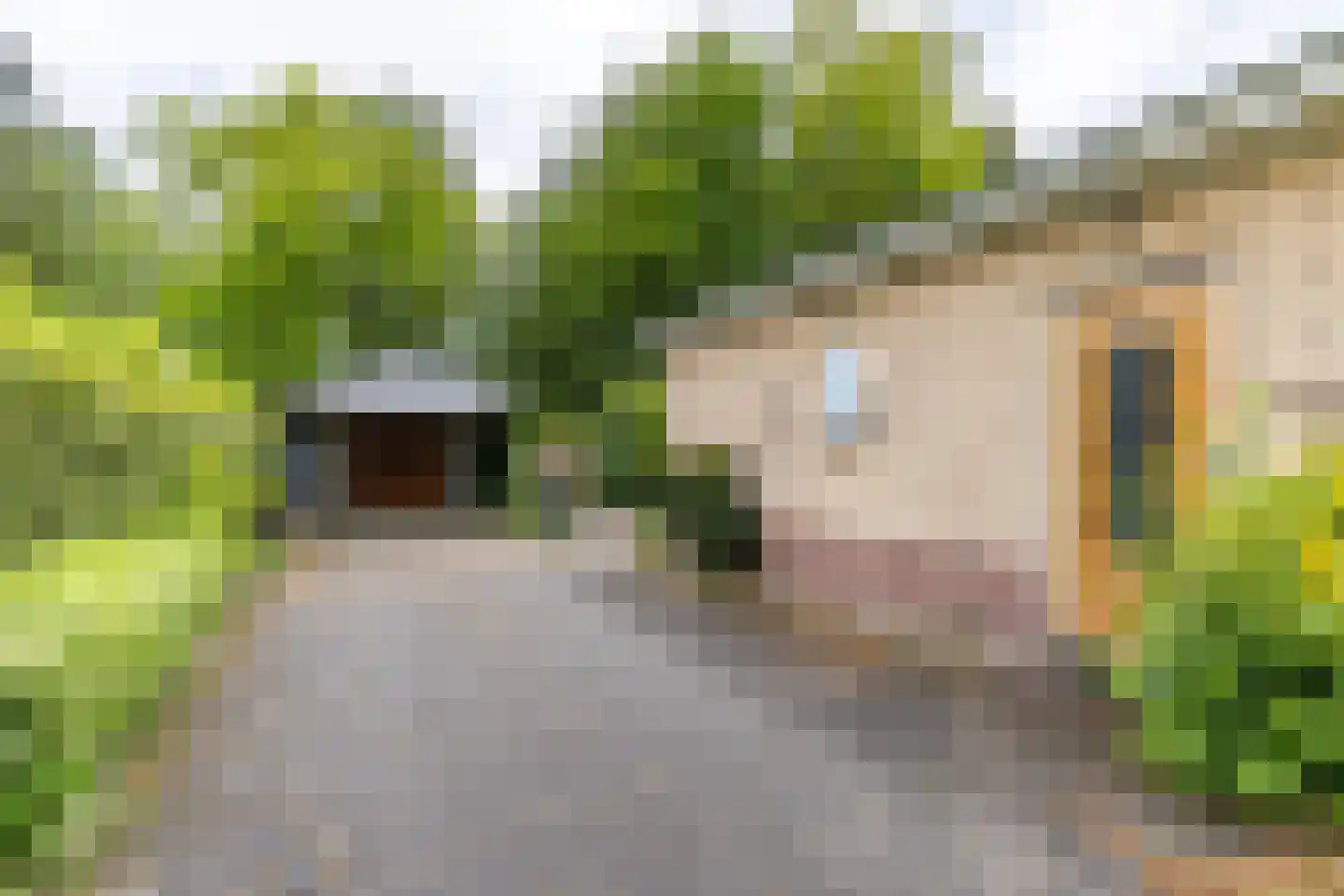 It Merkelân 33 Beetsterzwaag thumbnail 8