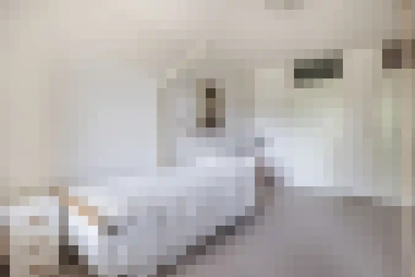It Merkelân 34 Beetsterzwaag thumbnail 17