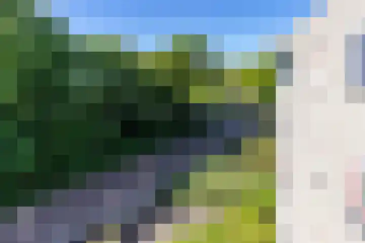 It Merkelân 56 Beetsterzwaag thumbnail 16