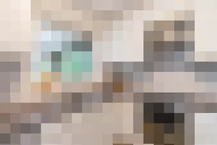 It Merkelân 56 Beetsterzwaag thumbnail 20