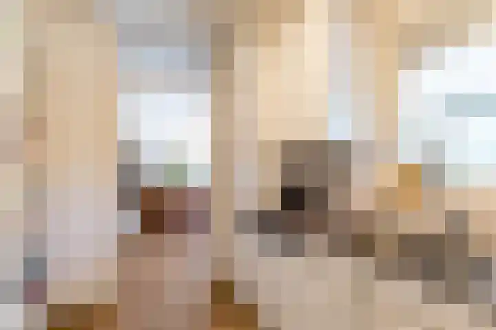 It Merkelân 56 Beetsterzwaag thumbnail 23