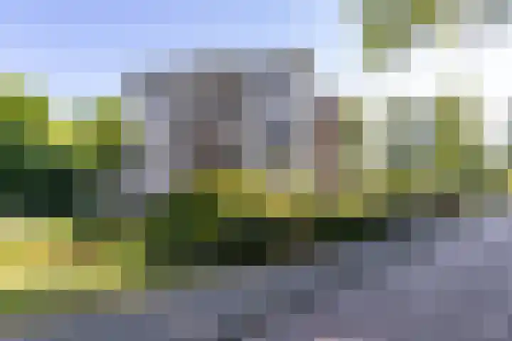 It Merkelân 56 Beetsterzwaag thumbnail 32