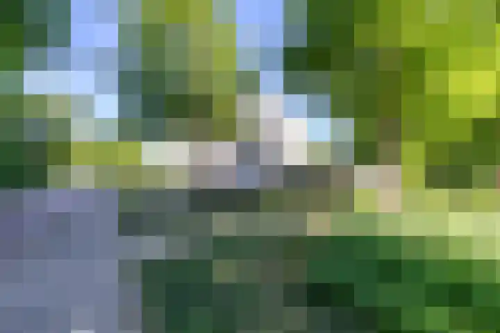 It Merkelân 56 Beetsterzwaag thumbnail 37