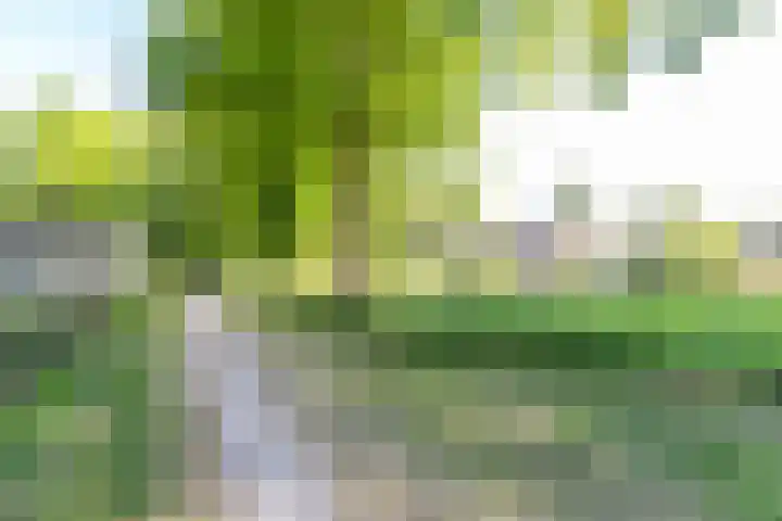It Merkelân 56 Beetsterzwaag thumbnail 38