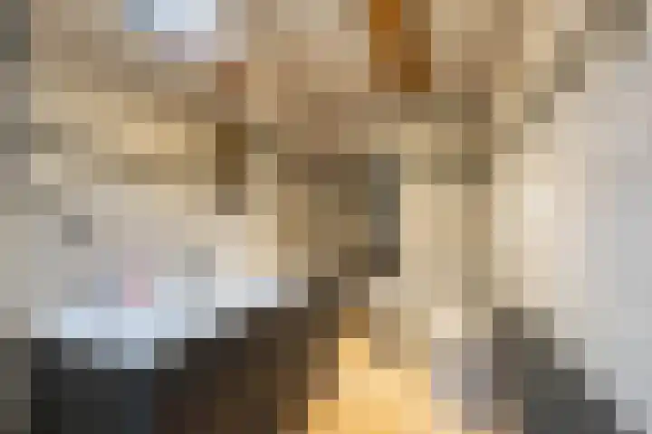 It Merkelân 62 Beetsterzwaag thumbnail 16
